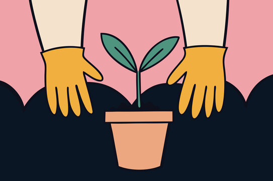 Gloved hands planting a seedling in a pot, colorful scene