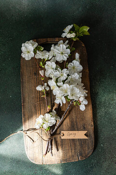 Cherry blossom branch on rustic wood board in interior light