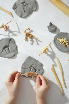 Hands making dinosaur fossil imprints in clay for STEM learning