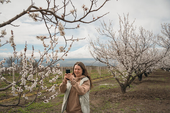 Woman photographing blooming apricot trees near Mount Ararat