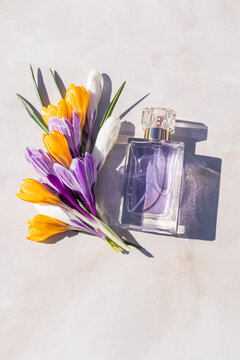 Women perfume with spring flowers and fresh aroma flat lay