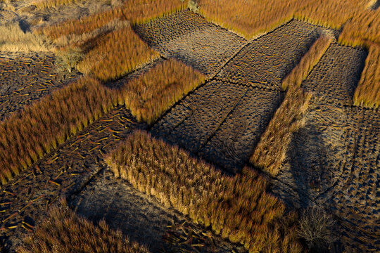Aerial detail of wicker field divisions and soil texture