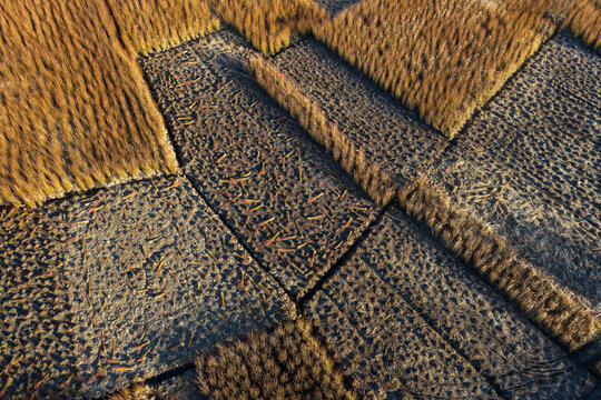 Aerial detail of wicker field divisions and soil texture