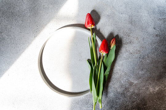 Red tulips on white plate on grey table, top view