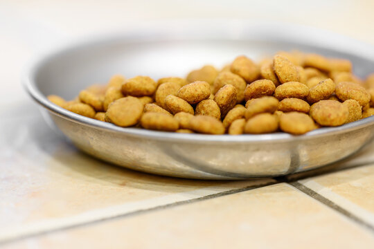 Closeup pet kibble in stainless bowl