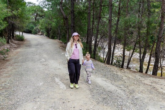 Family hike on mountain trail through pine forest