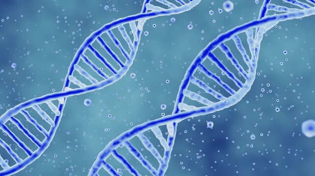 Abstract 3D animation of blue DNA double helix structures rotating in a fluid microscopic environment with floating particles