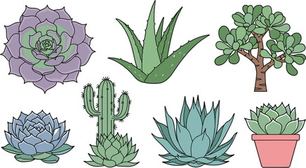 Succulent and cactus vector collection featuring aloe vera jade plant echeveria and potted desert greenery for home decor and garden design. © shahariar