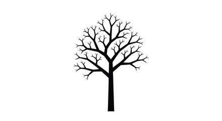 Obraz premium Bare tree silhouette with intricate branch details in black