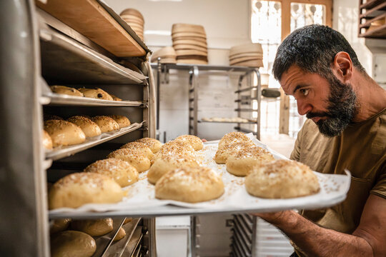 Baker inspecting fresh bread rolls in artisan bakery oven