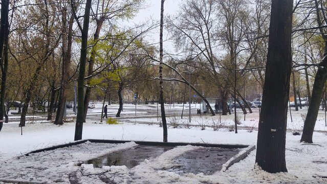 Winter park scene with snow-covered ground and bare trees in urban setting. Snowy landscape featuring empty playground equipment and leafless branches. Concept winter outdoor activities in city park.