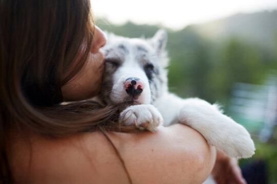 Border collie puppy cuddled and kissed in outdoor setting
