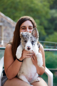 Border collie puppy cuddled by owner outdoors in summer