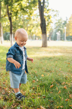 Toddler exploring grassy park on sunny autumn day outdoors