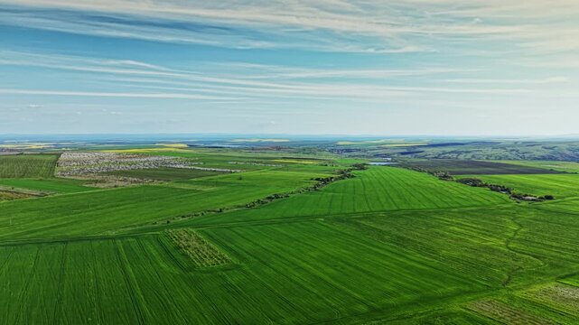A landscape shows vast green fields stretching far into the distance, with patches of crops and a river flowing through the land under a clear sky.