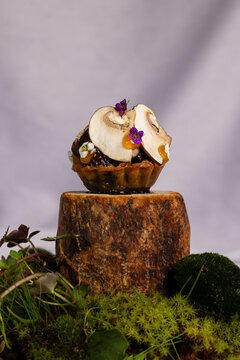 Gourmet mushroom tapa with walnut ketchup and egg yolk