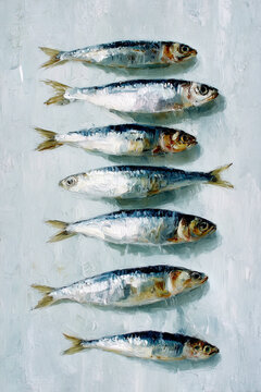Sardine fish illustration on light background in a row