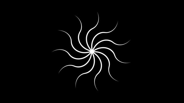 Firework circle burst animation, line blast fireworks effect explosion, seamless celebration visuals on a black screen background,  transparent background with alpha channel.