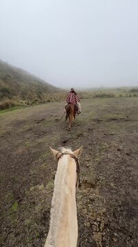 Horseback trek through misty Andean paramo near Riobamba