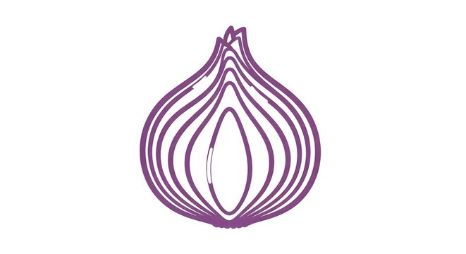 minimalist purple onion bulb cross section illustration for science and nutrition design