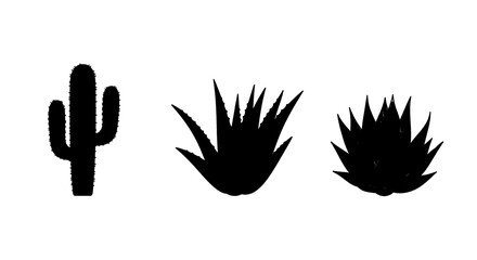 Fototapeta premium Three silhouette desert plants, a saguaro cactus and two agave plants, arranged on a white background.