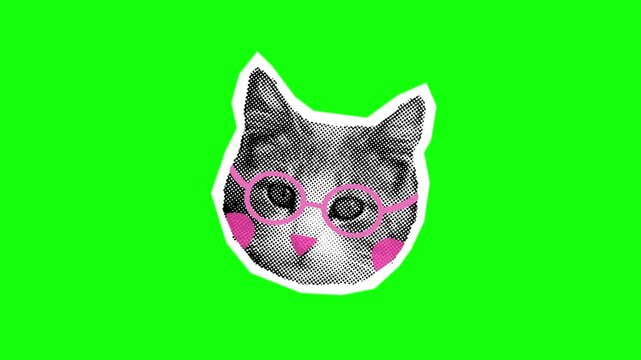 Funny Pop Art Cat Head with Pink Glasses and Rosy Cheeks on Green Screen for Meme and Creative Video