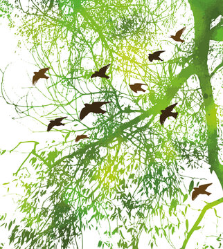 Silhouette of willow green tree branch with flying birds. Not AI, vector illustration.