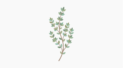 Obraz premium A sprig of thyme. A delicate sprig of thyme, illustrated in a clean, modern style, offering a sense of freshness and natural beauty.