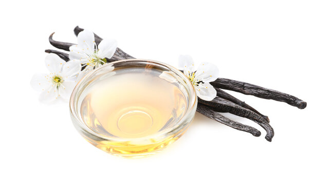 Vanilla essential oil in bowl, pods and flower buds isolated on white