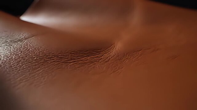 Closeup Macro Shot of Human Skin Texture with Subtle Lighting.