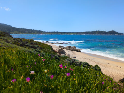 California Coastal Beach Scene
