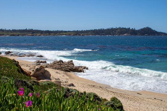 California Coastal Beach Scene