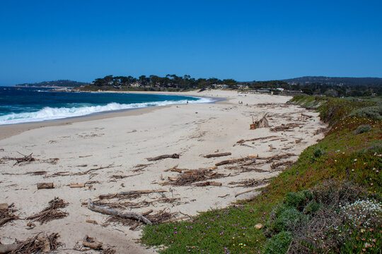 California Coastal Beach Scene