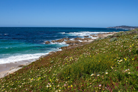 California Coastal Beach Scene