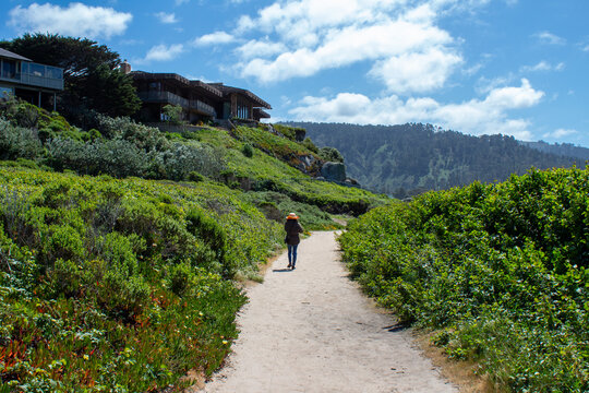 California Coastal Beach Scene