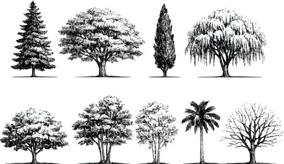 Fototapeta premium Black and White Layered Forest Landscape Vector with Tree PNG Seamless Nature on transparent background