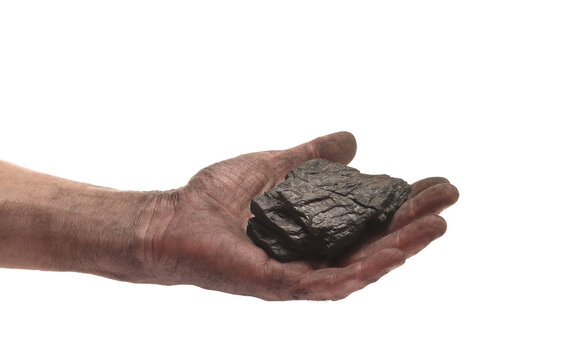 Man with dirty hand from dust holds lumps of black coal isolated on white background, clipping path,design element