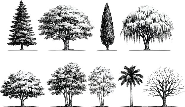 Black and White Layered Forest Landscape Vector with Tree PNG Seamless Nature on transparent background