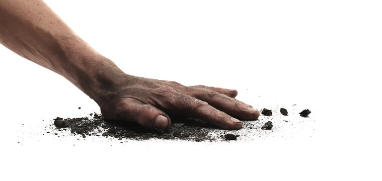 Man with dirty hand from dust holds lumps of black coal isolated on white background, clipping path,design element