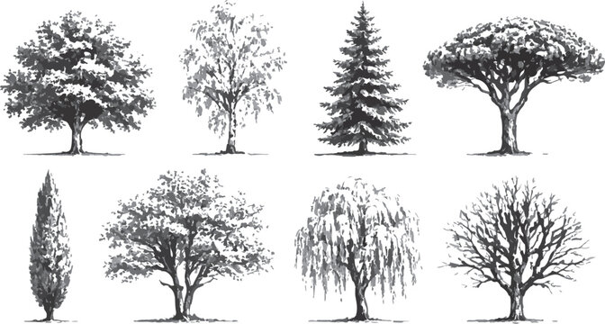 Black and White Layered Forest Landscape Vector with Tree PNG Seamless Nature on transparent background