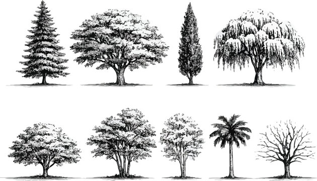 Black and White Layered Forest Landscape Vector with Tree PNG Seamless Nature on transparent background