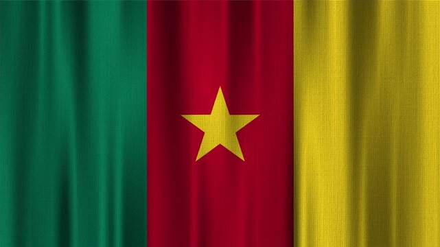 Cameroon flag waving in the wind with high quality fabric texture