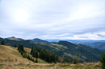 Fototapeta premium Expansive panoramic view of forested mountains, rolling meadows and layered ridges under soft cloudy sky. Calm, rural scenery conveying serenity, open space and outdoor adventure. Carpathian Mountains
