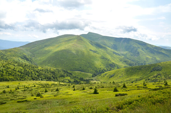 Expansive green mountain landscape with Mount Blyznytsia, rolling hills, alpine meadows and a distant valley under a cloudy sky. Svydovets, Carpathian Mountains, Ukraine