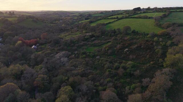 Aerial drone footage of Coosebean Woodland in Truro, Cornwall, showcasing dense trees, lush greenery, and peaceful natural surroundings