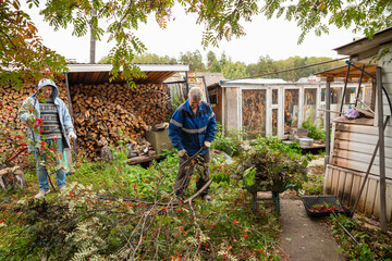 Two men clearing cut tree branches in backyard. People working together on garden maintenance and yard cleanup. Seasonal landscaping chores near wood pile and rural cottage. Seasonal tree pruning © Анастасия Бурлакова