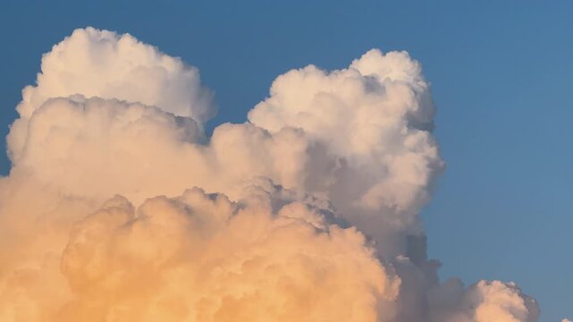 CLOSE UP: Towering cumulus clouds glowing in warm sunlight against a clear blue sky. Soft, billowing forms are illuminated with golden tones, creating a peaceful and dramatic meteorological scene.