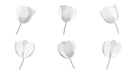 Fototapeta premium Transparent tulip flowers in pointillism stipple effect.Gentle botanical set with subtle spray texture.Refined floral elements with dainty aesthetic for minimal prints,posters,branding,invitations.
