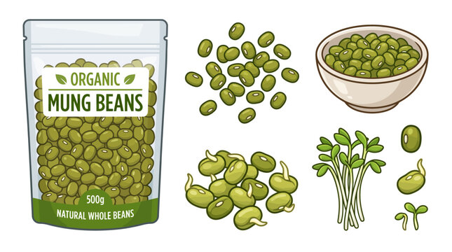 Organic mung beans set with product packaging bowl and sprouts vector illustration