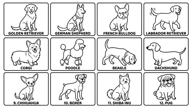 Collection of Popular Dog Breeds Illustrated in a Clean Line Art Style